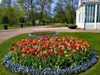 UREJANJE OKOLICE IN VRTOV urejanje vrtov in okolice